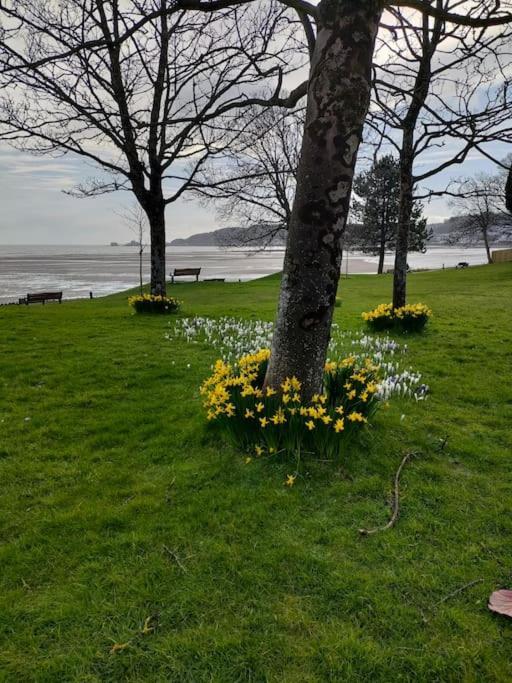Fishermen'S Cottage With Log Burner, 2 Bathrooms & Sea Views From Garden Terraces The Mumbles Eksteriør bilde