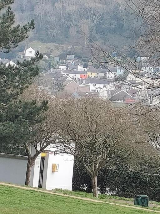 Fishermen'S Cottage With Log Burner, 2 Bathrooms & Sea Views From Garden Terraces The Mumbles Eksteriør bilde